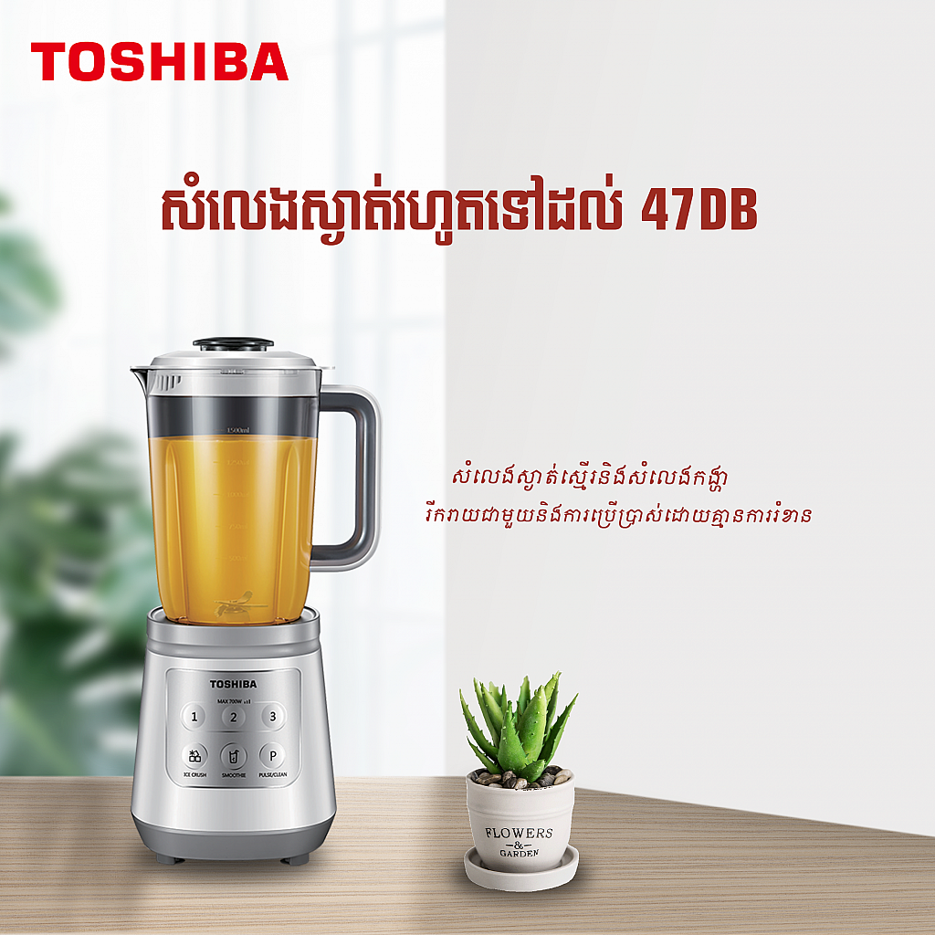 Toshiba Blender (1.5L)